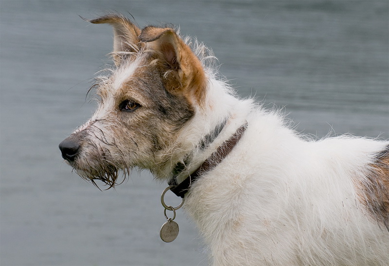 Kopie von Felix Südtirol D35_5107 als Smart-Objekt-1 Kopie.jpg